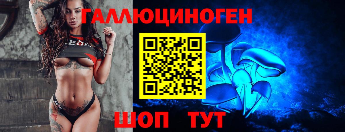 Галлюциногенные грибы GOLDEN TEACHER  Вход с VPN  где можно купить наркотик  Петропавловск-Камчатский 